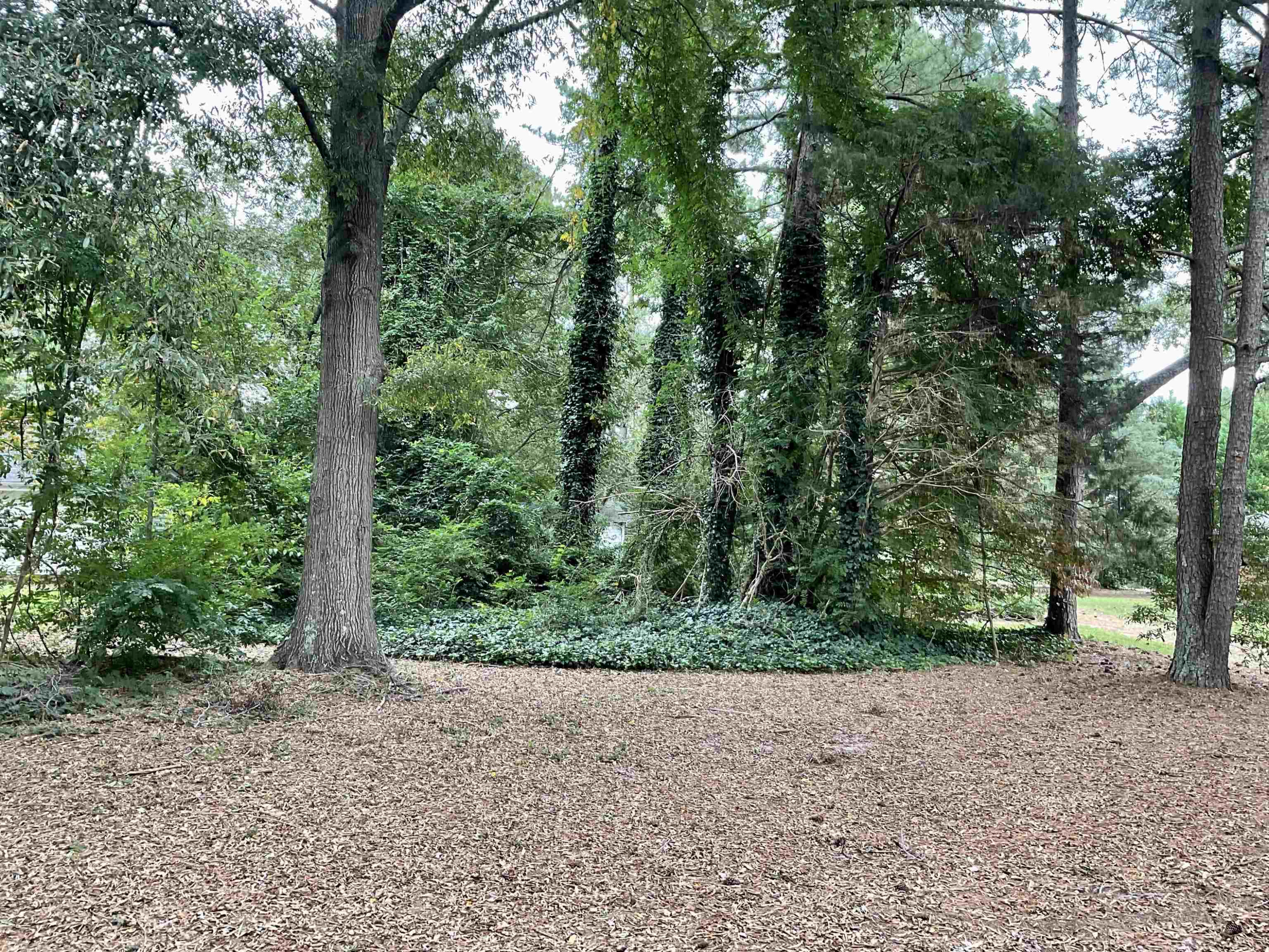 6920 Holly Springs Road Raleigh, NC 27606 - Photo 39 of 44 Photo 39