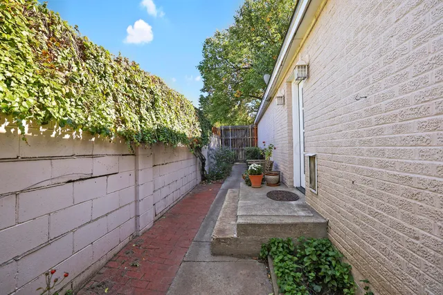 a view of a backyard