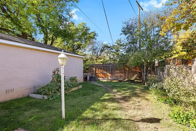 a view of a backyard with plants and a slide