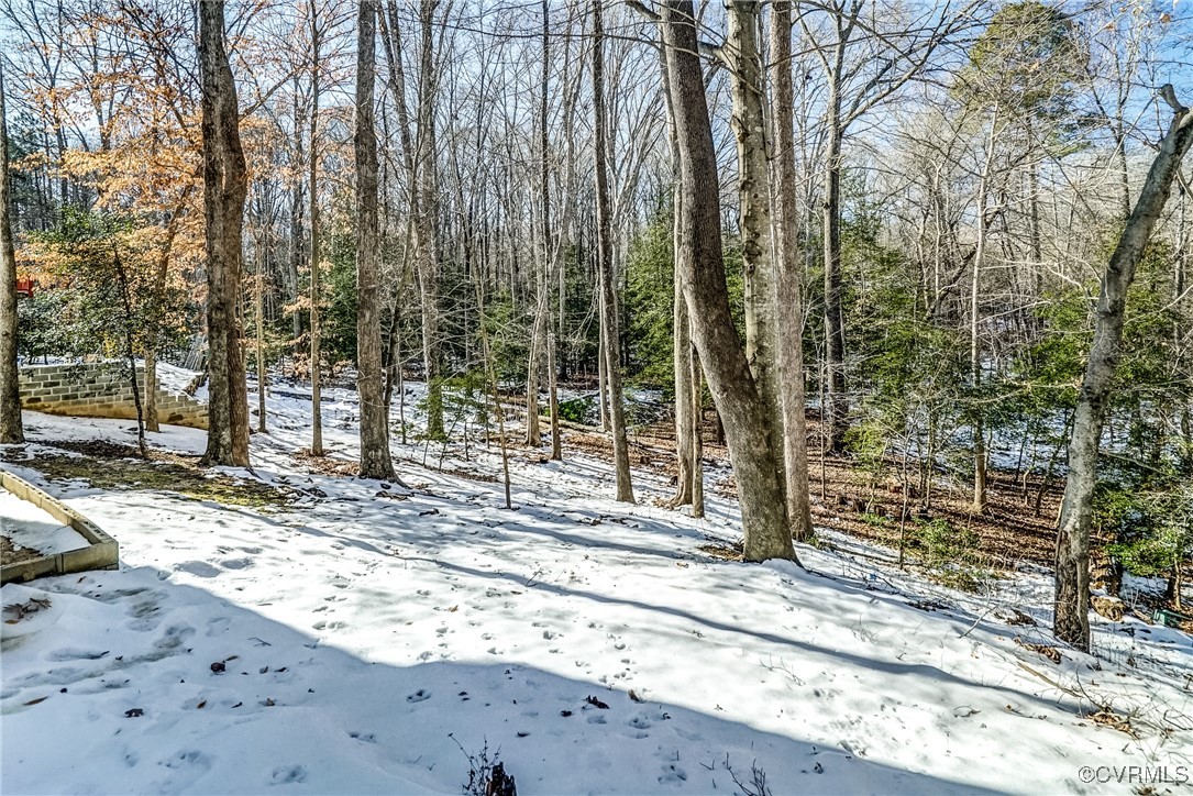 7554 Valencia Road Chesterfield, VA 23832 - Photo 35 of 36