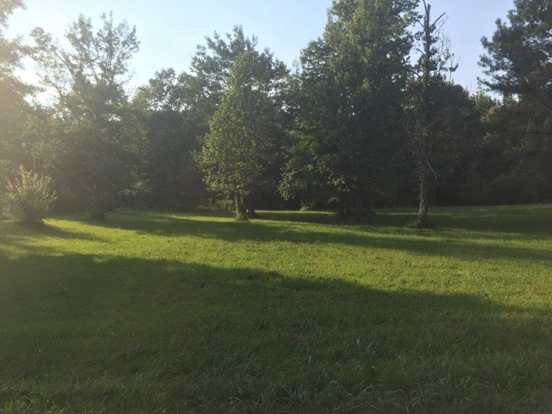 Lot 24 Lock 5 Road Roundhill, KY 42275 - Photo 2 of 6 Gallery Image 2
