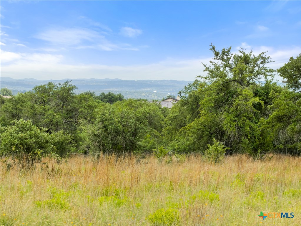 428 Summit Spring Lane Johnson City, TX 78636 - Photo 8 of 33
