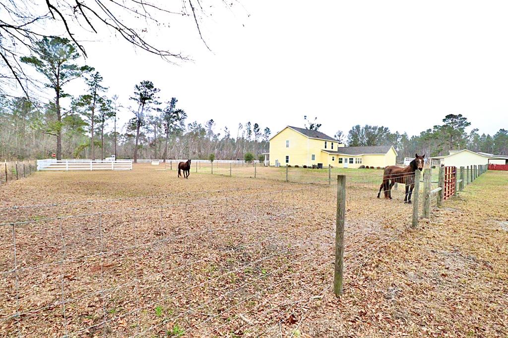 6570 Good Hope Road Naylor, GA 31641 - Photo 73 of 82 Gallery Image 73