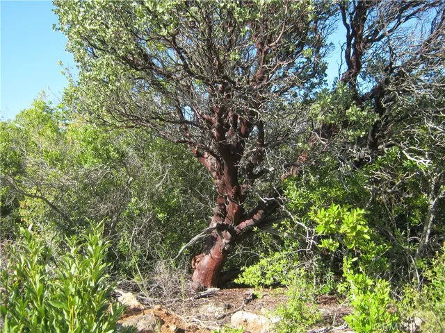 $195,000 | 9070 Highway 29, Lower Lake, CA 95457