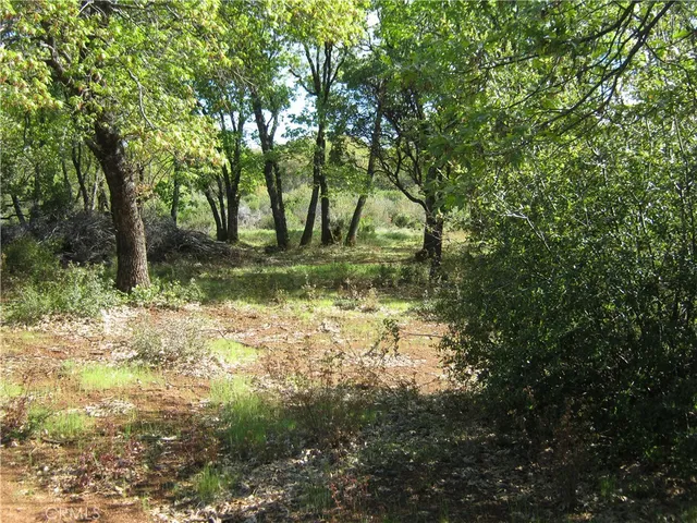 $195,000 | 9070 Highway 29, Lower Lake, CA 95457