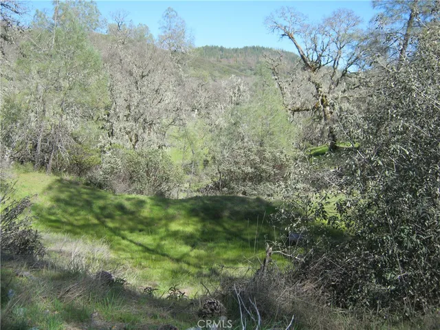 $195,000 | 9070 Highway 29, Lower Lake, CA 95457