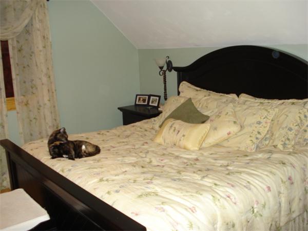 235 Tinkham Road Springfield, MA 01129 - Photo 10 of 26