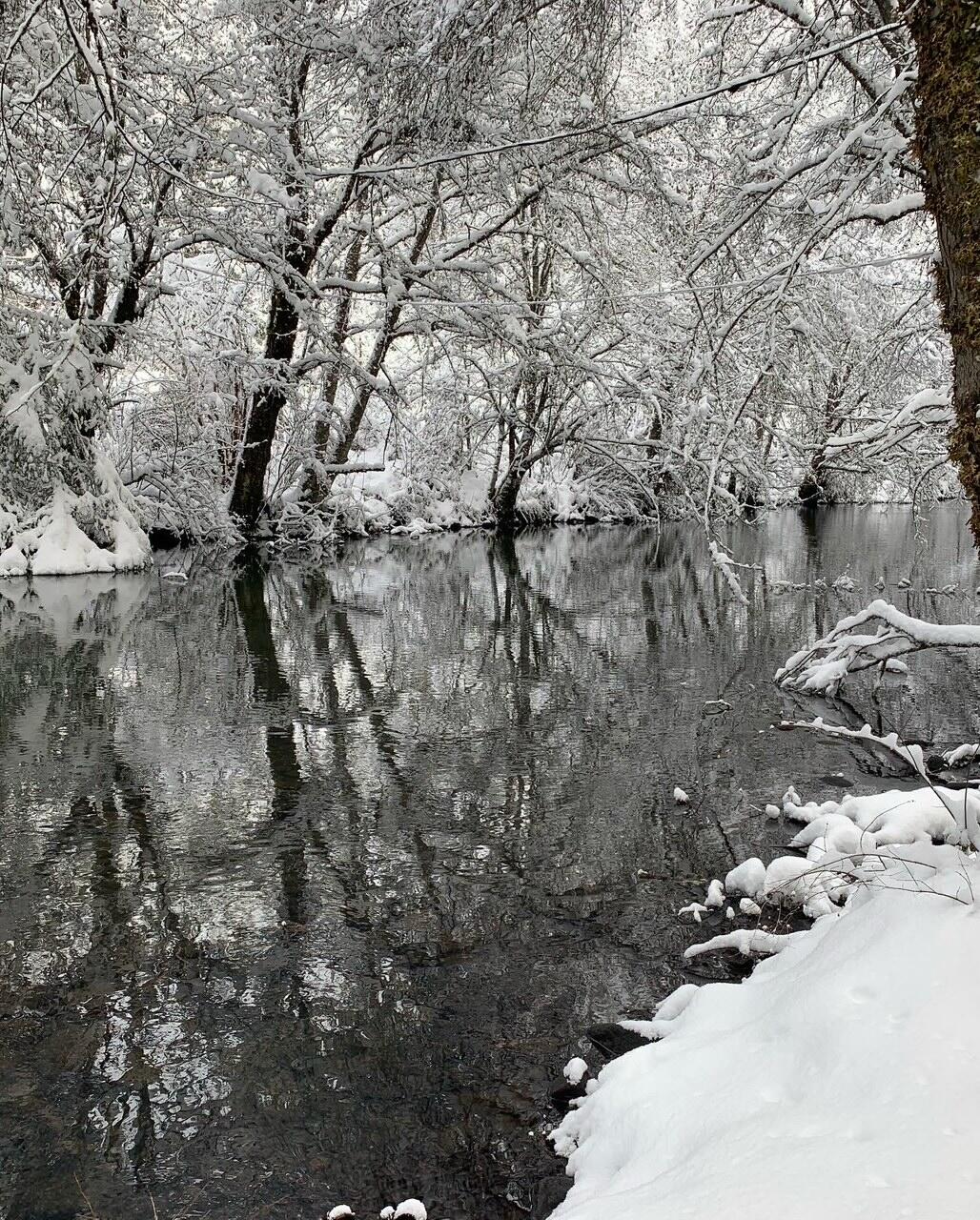 52 Dodes Creek Road Trail, OR 97541 - Photo 95 of 110 Winter on the Creek