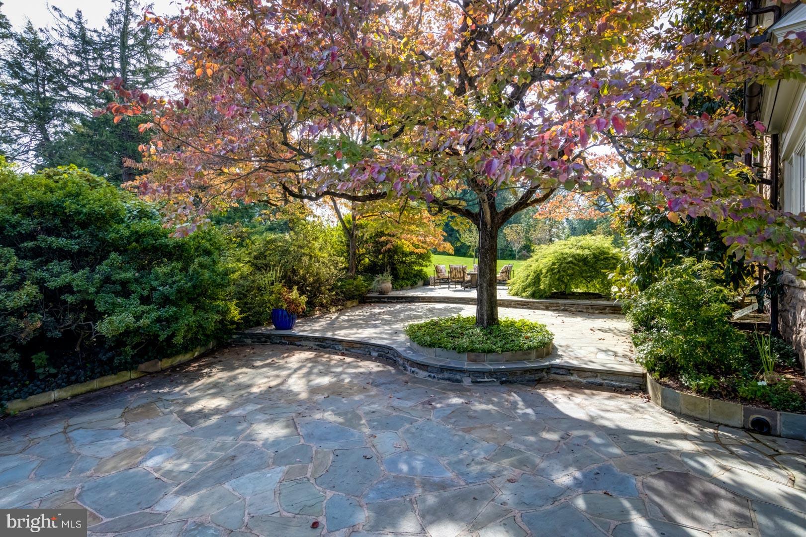 653-655 Andover Road Newtown Square, PA 19073 - Photo 4 of 45 Four-Seasons of Natural Beauty