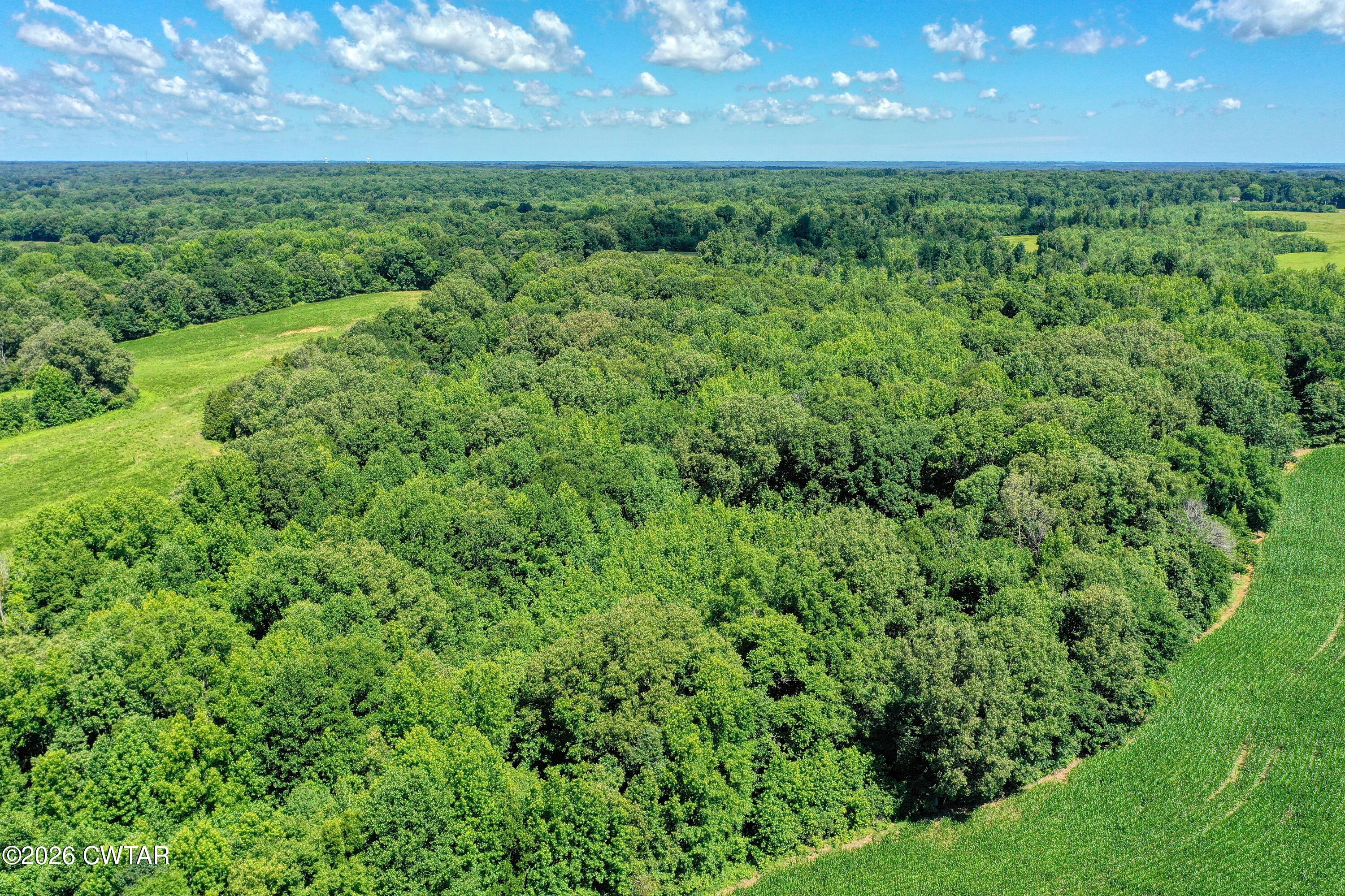 0 Perry Road Knoxville, TN 37914 - Photo 6 of 12 DJI_0133