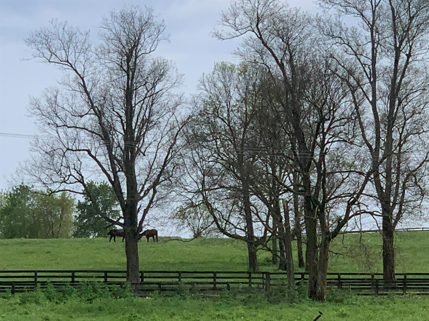 847 Hutchison Road Paris, KY 40361 - Photo 1 of 8 Photo 1