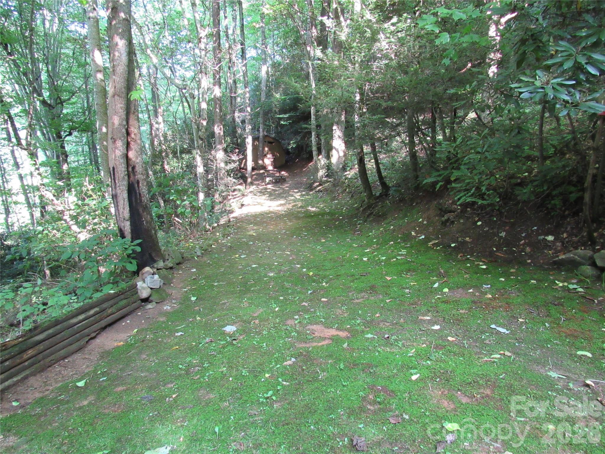 261 Warren Creek Road Candler, NC 28715 - Photo 18 of 28 Gallery Image 18