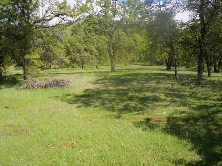 a view of a green field