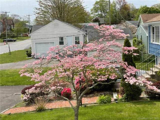 a front view of house with yard and trees