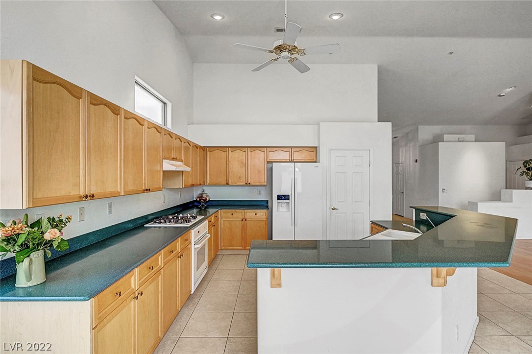 355 Marlin Cove Road Henderson, NV 89012 - Photo 16 of 50 Gallery Image 16