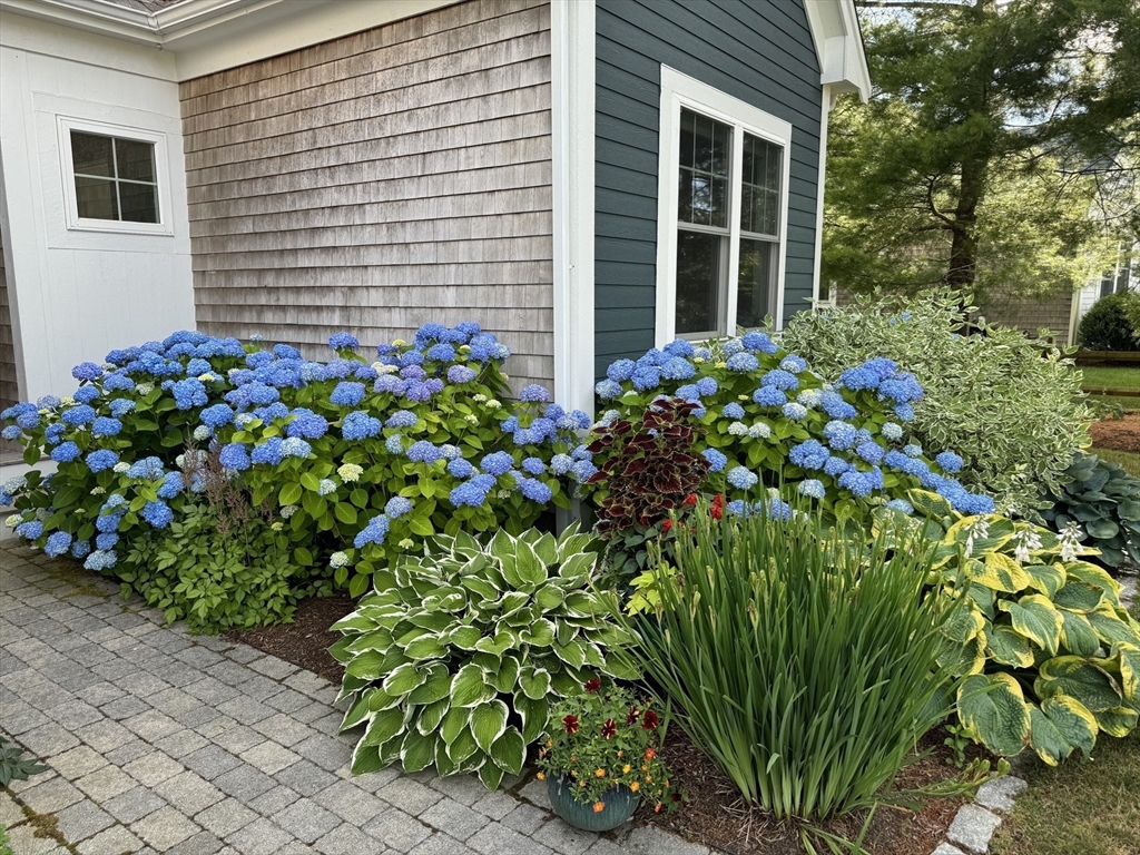 17 Inkberry Lane Plymouth, MA 02360 - Photo 22 of 30 a plant is in front of a house