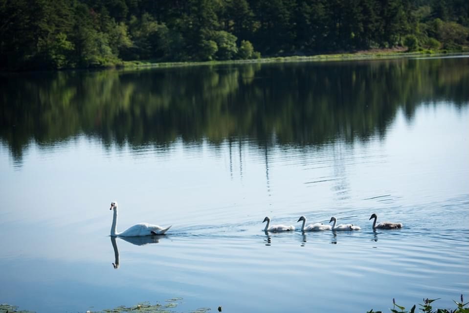 17 Inkberry Lane Plymouth, MA 02360 - Photo 27 of 30 a view of a lake view