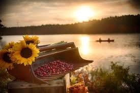 17 Inkberry Lane Plymouth, MA 02360 - Photo 28 of 30 a view of a lake