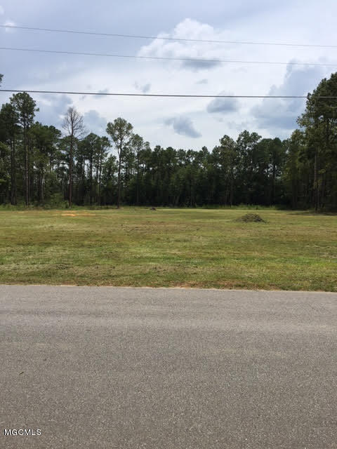 0 Quave Road Vancleave, MS 39565 - Photo 3 of 5 Pic3