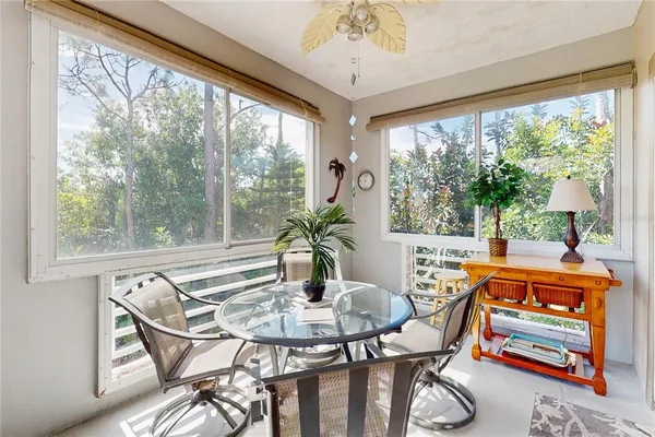 a view of a park with large trees