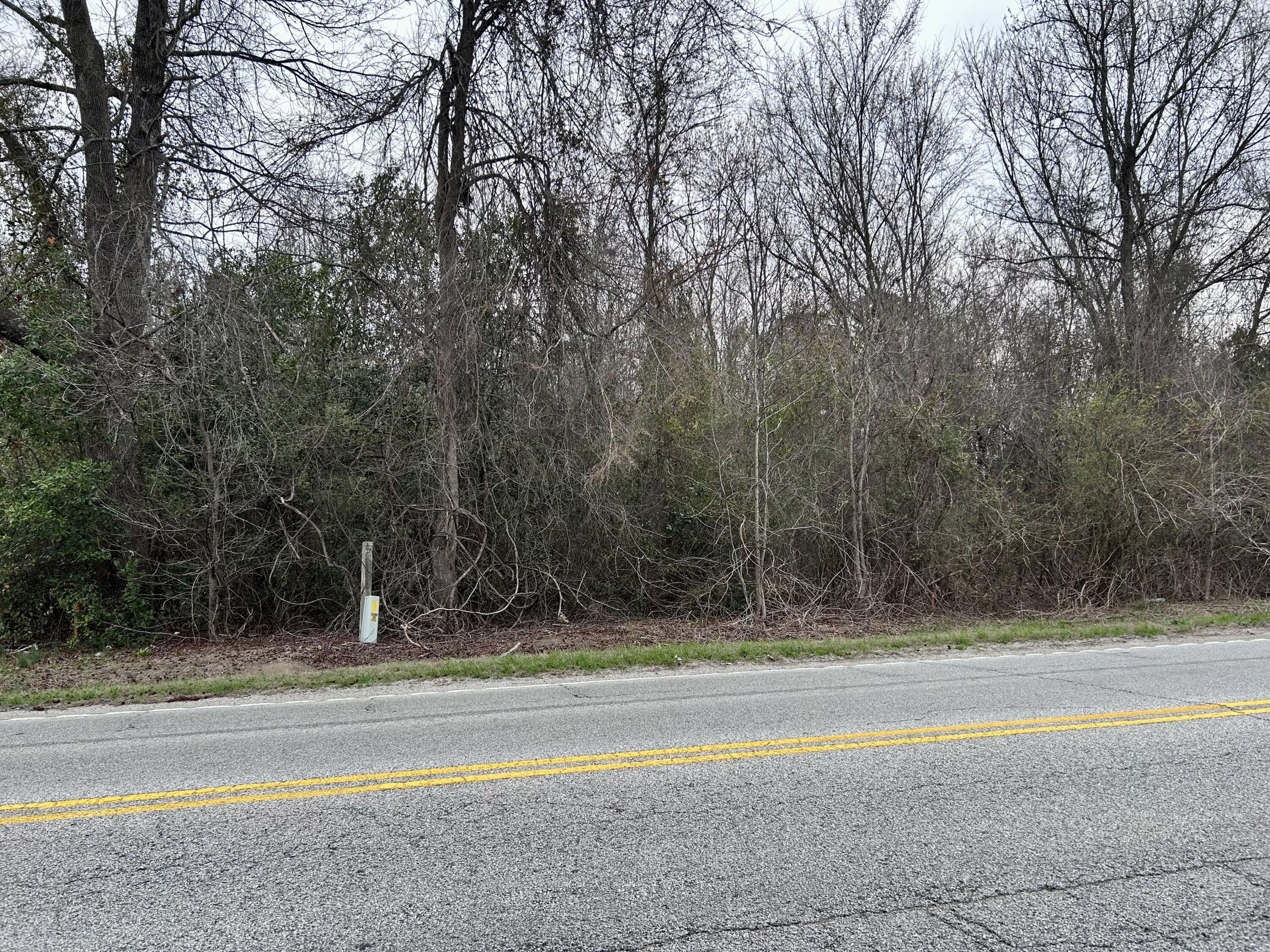 0 Camden Highway Rembert, SC 29128 - Photo 2 of 6