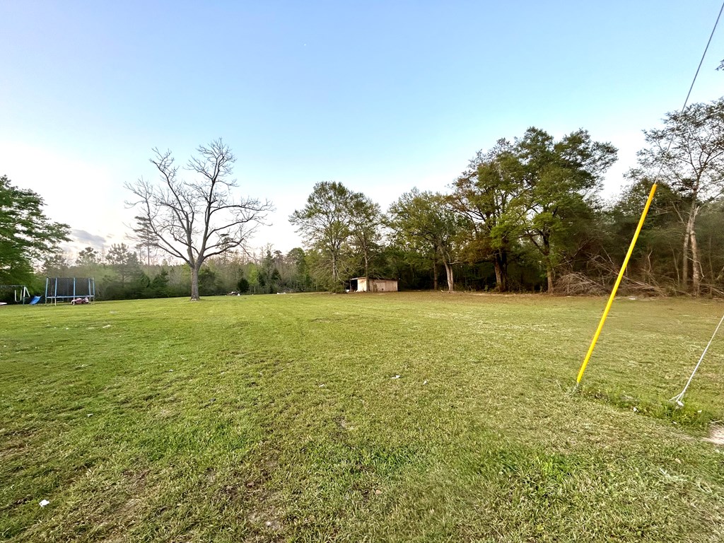 355 Billy Snell Road Dothan, AL 36301 - Photo 32 of 42