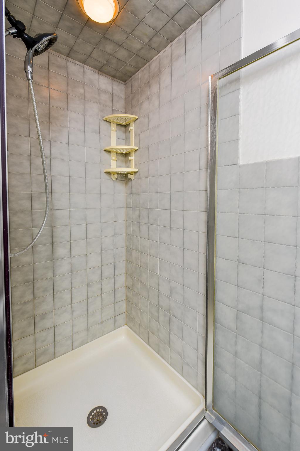 30830 Mills Ridge Road Lewes, DE 19958 - Photo 41 of 66 Owners Bath