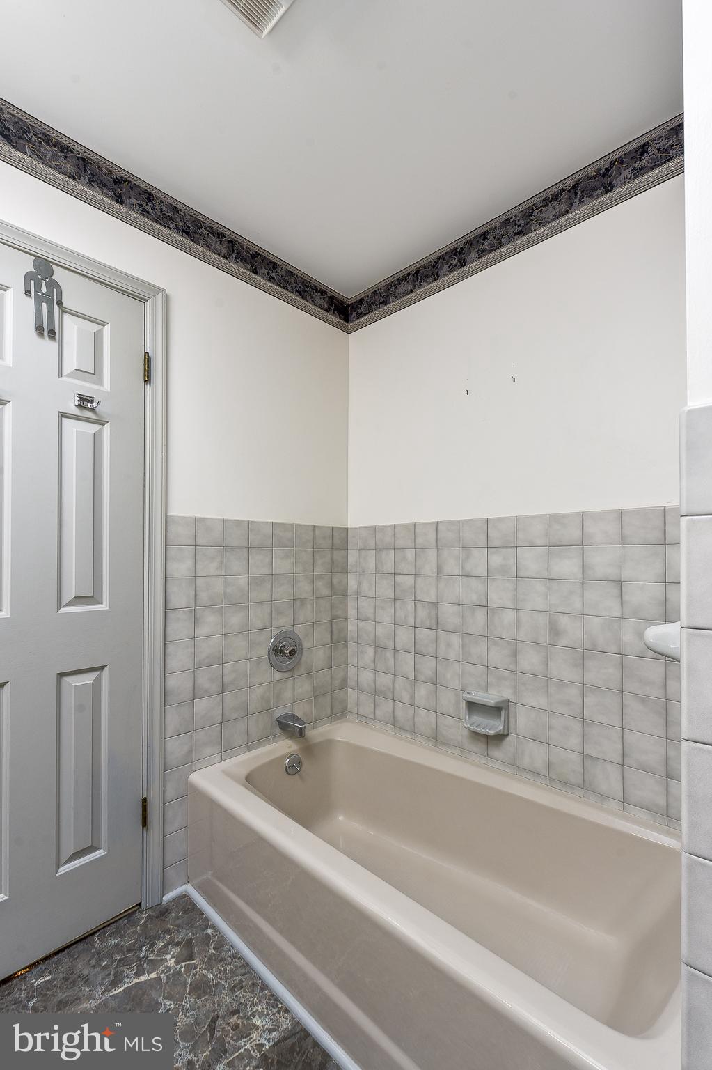 30830 Mills Ridge Road Lewes, DE 19958 - Photo 42 of 66 Owners Bath