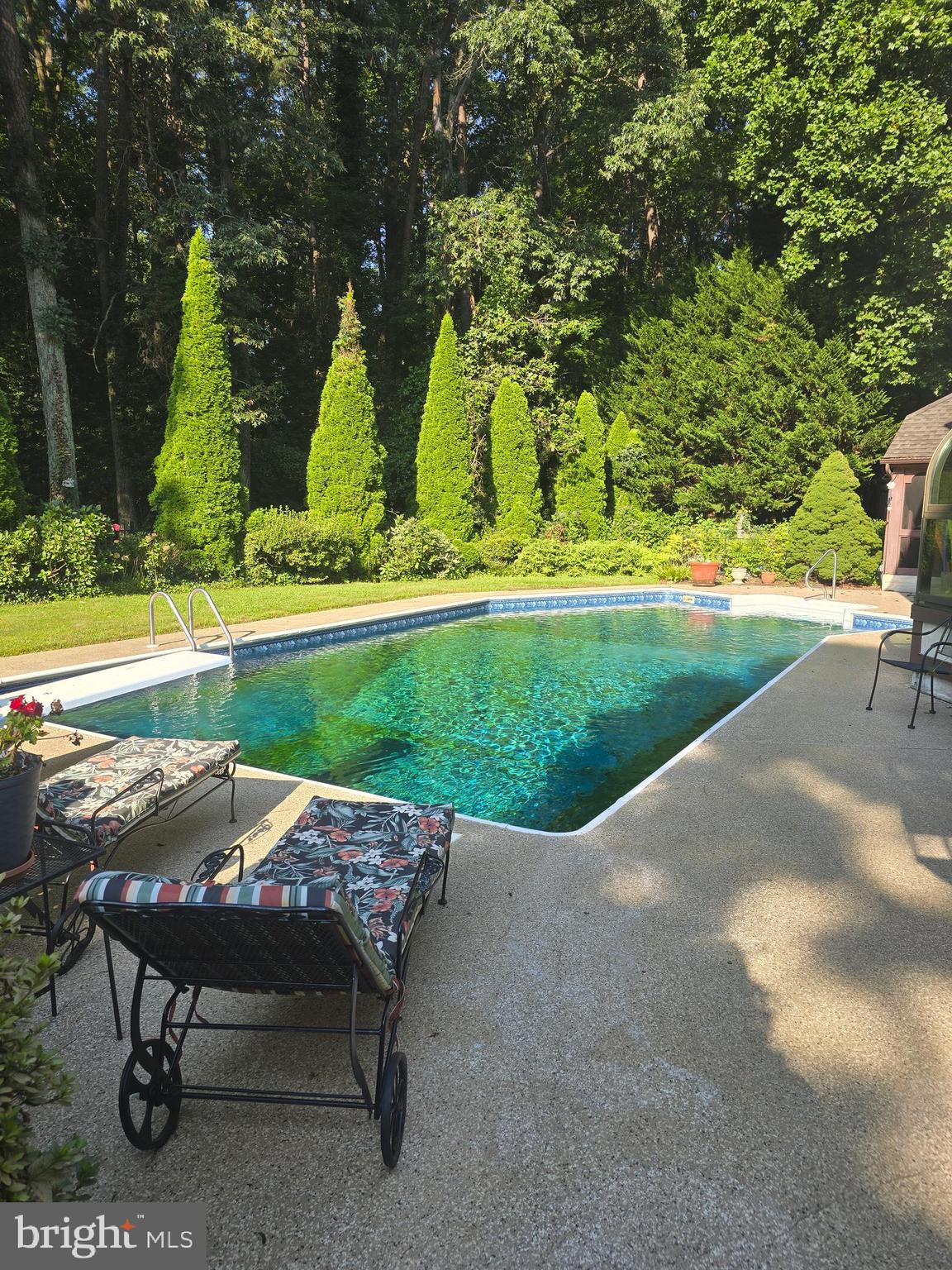 30830 Mills Ridge Road Lewes, DE 19958 - Photo 5 of 66 Pool