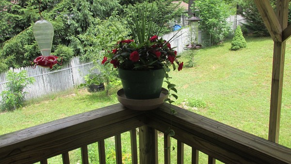 9 Highland Road Merrimac, MA 01860 - Photo 11 of 20 a view of a garden with a fountain