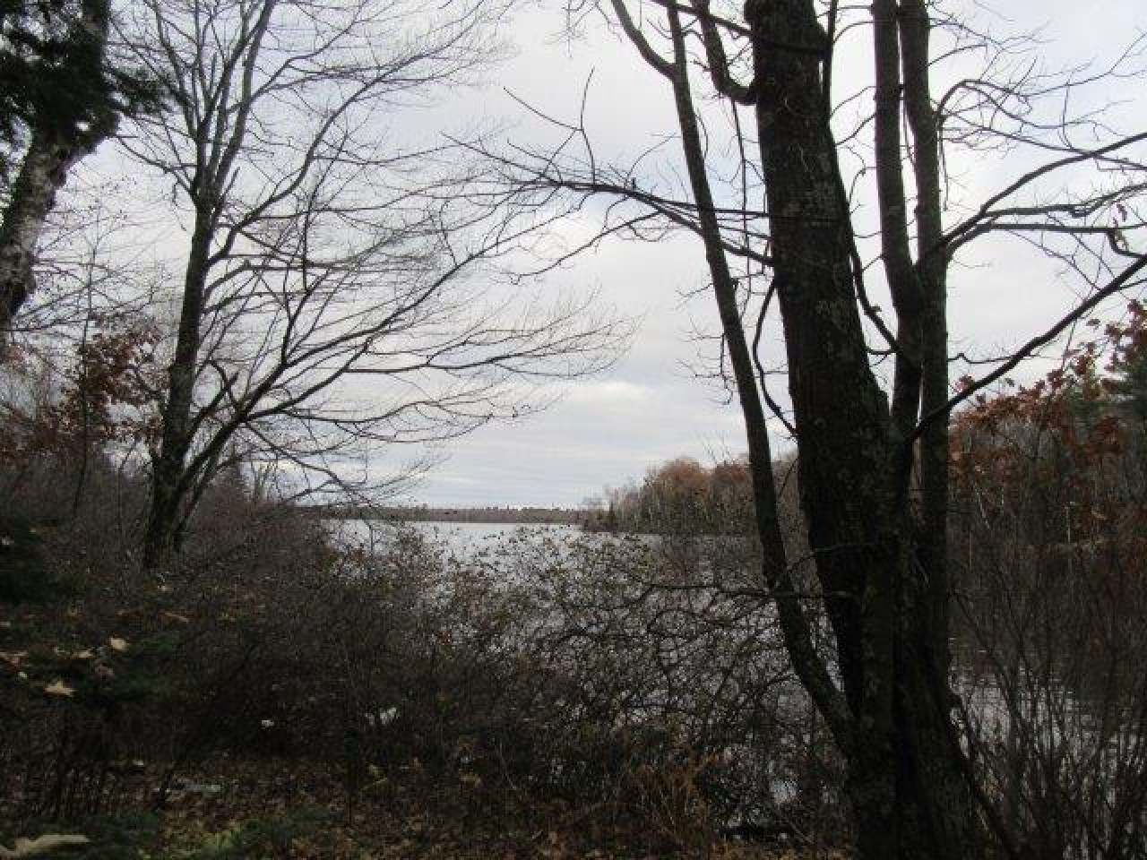 On Cir Lily Road, Unit LOT 1 Manitowish Waters, WI 54545 - Photo 1 of 13 Gallery Image 1