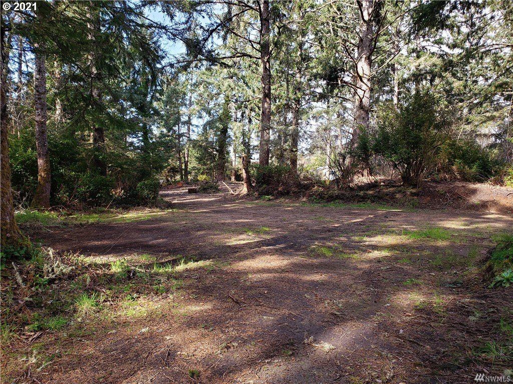 1911 Cranberry Road Long Beach, WA 98631 - Photo 24 of 27 Gallery Image 24