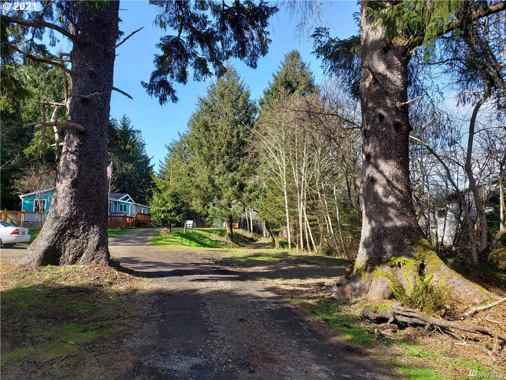 1911 Cranberry Road Long Beach, WA 98631 - Photo 26 of 27 Gallery Image 26