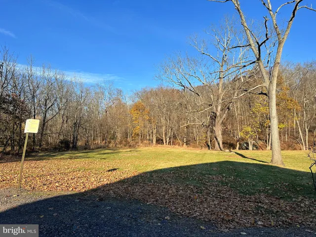 a view of yard with trees