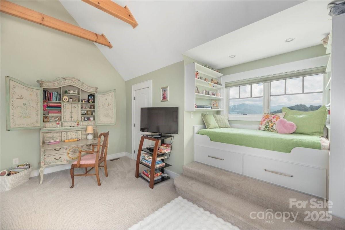 316 Fincher Mountain Road Waynesville, NC 28785 - Photo 37 of 46 a living room with furniture and a flat screen tv