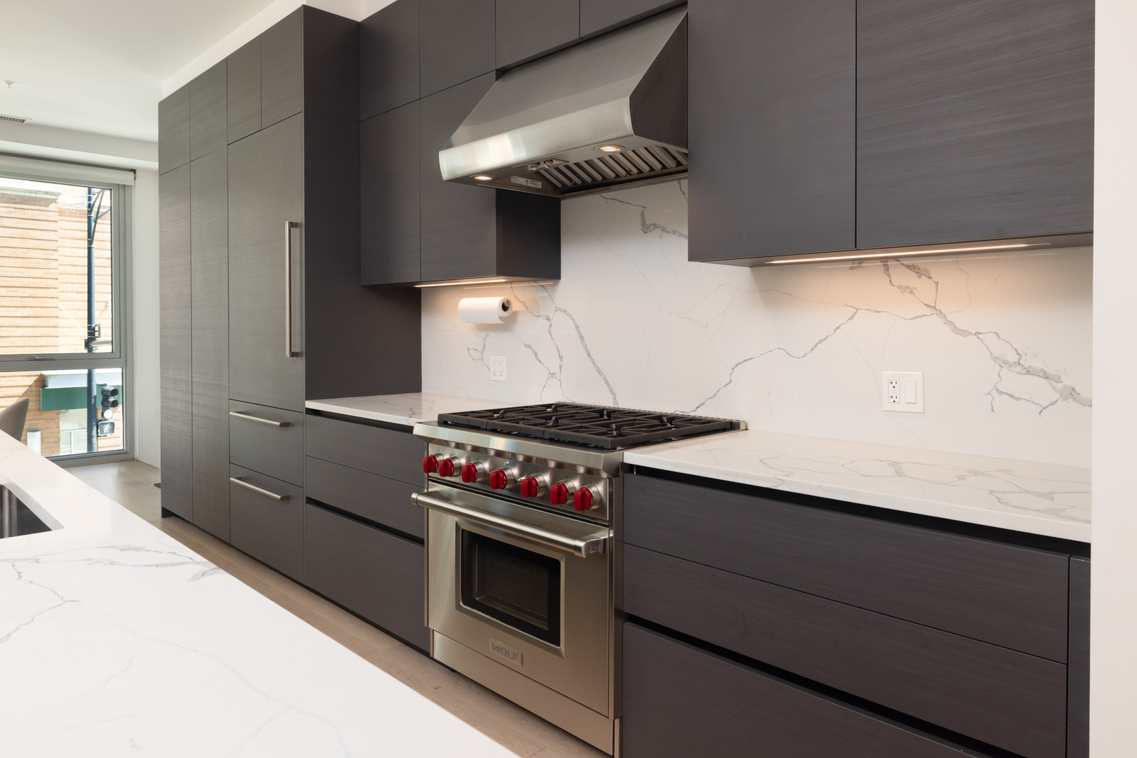 1000 West Monroe Street, Unit 201 Chicago, IL 60607 - Photo 6 of 19 Gallery Image 6
