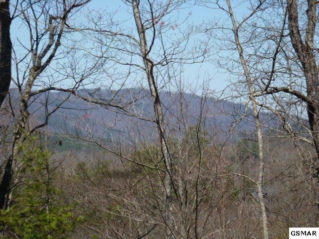 129 Rocking Chair Lane Sevierville, TN 37862 - Photo 2 of 16 Gallery Image 2