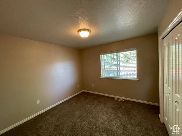 11473 South Dempsey Creek Road Lava Hot Springs, ID 83246 - Photo 14 of 47 Unfurnished bedroom featuring a closet, dark carpet, and a textured ceiling