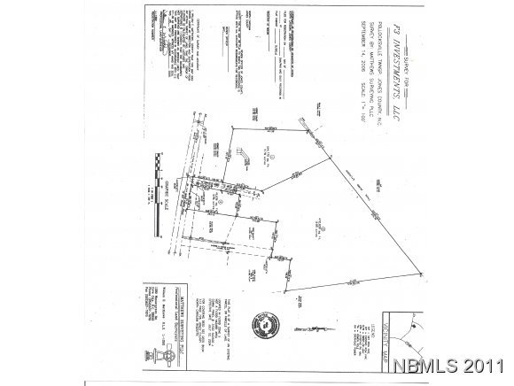 408 Lee's Chapel Road Pollocksville, NC 28573 - Photo 1 of 1 Primary Photo