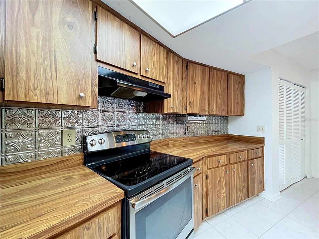 1413 Windjammer Loop Lutz, FL 33559 - Photo 22 of 78 Gallery Image 22