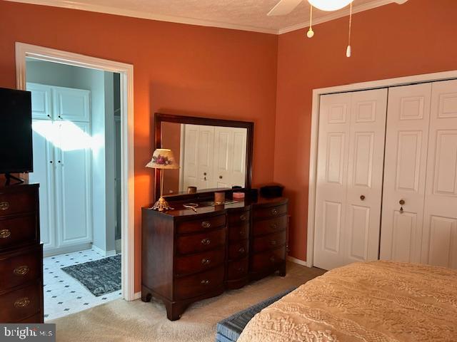 501 Musket Ridge Road Abbottstown, PA 17301 - Photo 15 of 36 Gallery Image 15