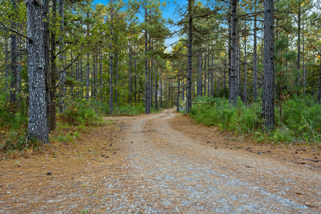 1907 Mountain Creek Church Road Starr, SC 29684 - Photo 7 of 31