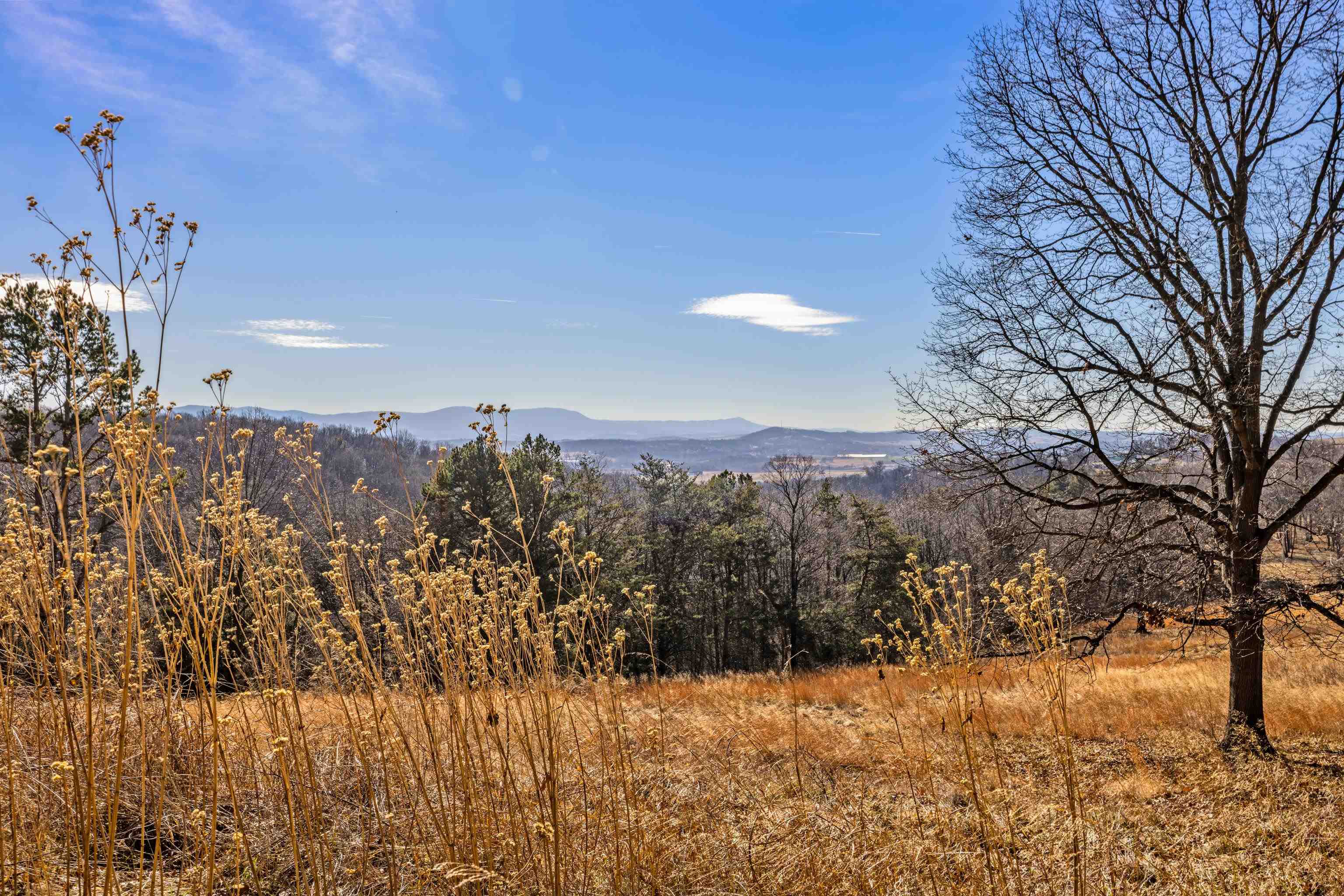 7386 Apple Ridge Drive Timberville, VA 22853 - Photo 44 of 62 a view of a covered with snow in the background