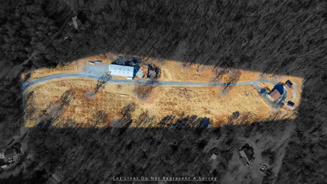 a view of a yard with a tree