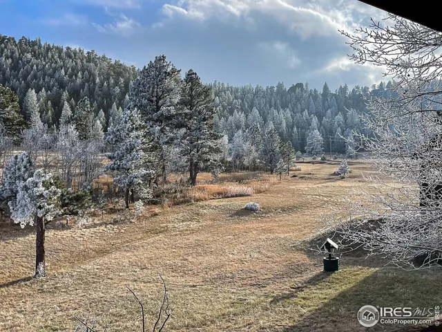 $817,000 | 98 Deadhorse Mountain Court, Livermore, CO 80536