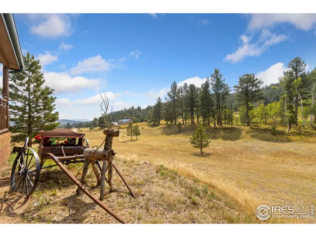 $817,000 | 98 Deadhorse Mountain Court, Livermore, CO 80536