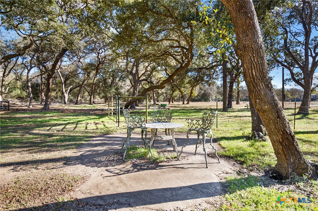 1465 County Road 401 Edna, TX 77957 - Photo 10 of 46 a view of a swimming pool and a yard
