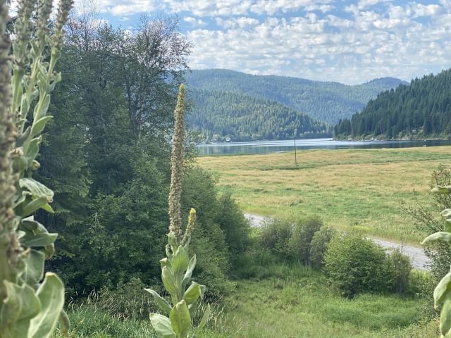 3012 Deep Lake Road Colville, WA 99114 - Photo 1 of 17 Gallery Image 1