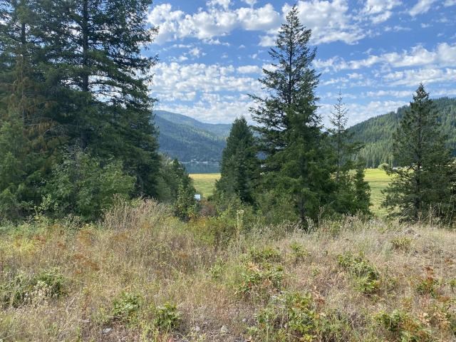 3012 Deep Lake Road Colville, WA 99114 - Photo 2 of 17 Gallery Image 2