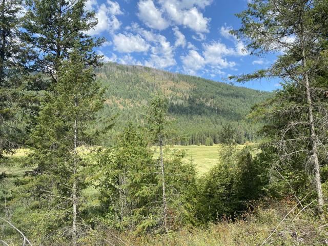 3012 Deep Lake Road Colville, WA 99114 - Photo 11 of 17 Gallery Image 11